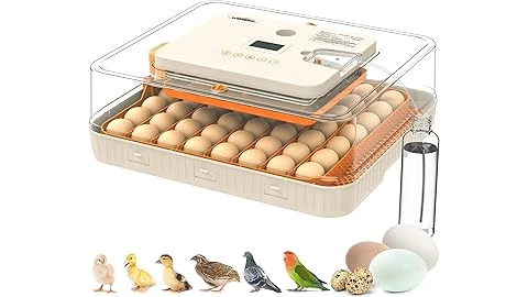 The image shows a selection of top-rated incubators, essential for successfully hatching eggs at home.