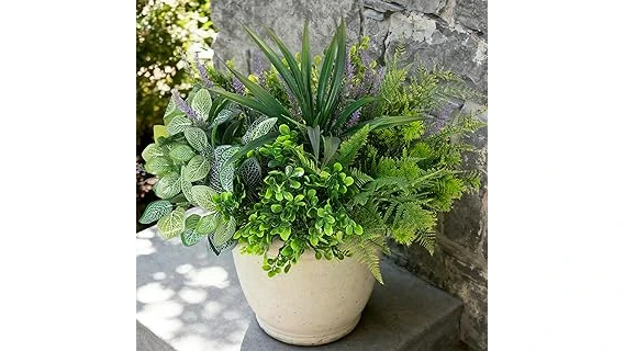 The image shows a collection of various leafy green indoor ferns suitable for low light conditions.