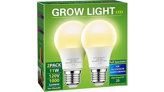 Top Rated 10 Indoor Large Plants Low Light