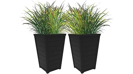This image shows beautiful outdoor planters filled with vibrant winter plants, perfect for a top-rated list.