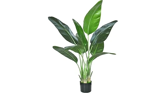The image shows a lush palm tree thriving in a decorative pot, perfect for container gardening.