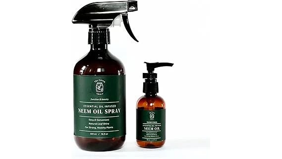 Top Rated 10 Pest Control for Indoor Plants