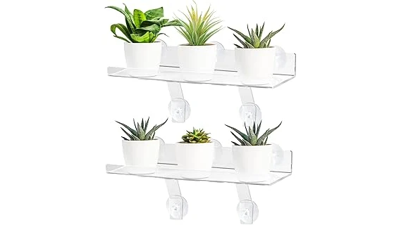 The image shows a vibrant collection of lush green houseplants bathed in bright sunlight, perfect for south-facing windows.