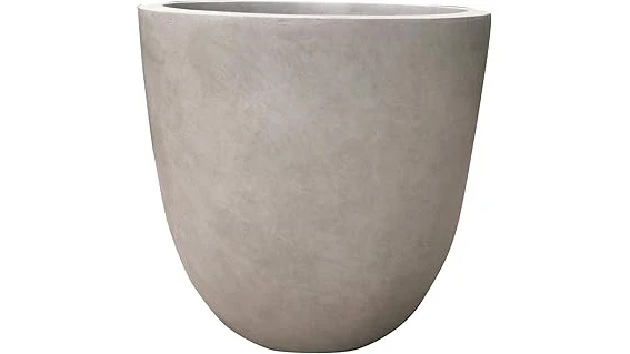 The image shows a stylish planter holding a healthy fiddle leaf fig tree, perfect for top-rated selections.