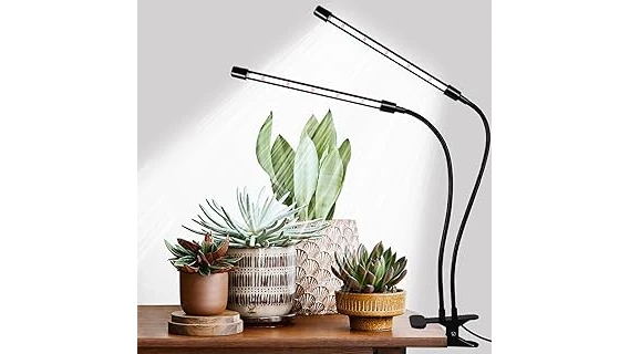 The image shows a lush collection of ten popular plants thriving in bright, indirect light.