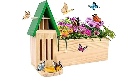 Top Rated 10 Plants for Butterfly Garden