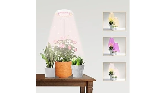 The image shows a lush collection of vibrant green plants thriving in indirect sunlight, perfect for any home.