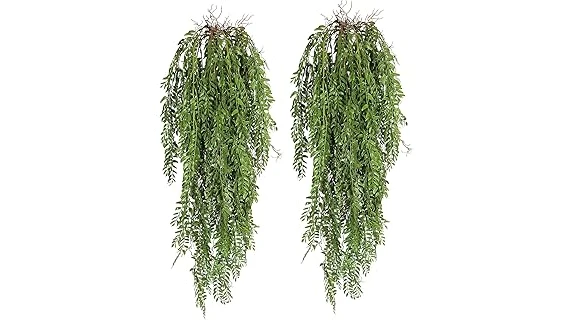 The image shows lush green houseplants flourishing in a bright north-facing window, perfect for the top rated plants list.