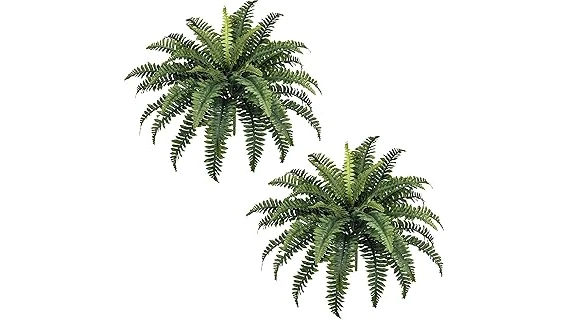 Top Rated 10 Plants for Outdoor Patio