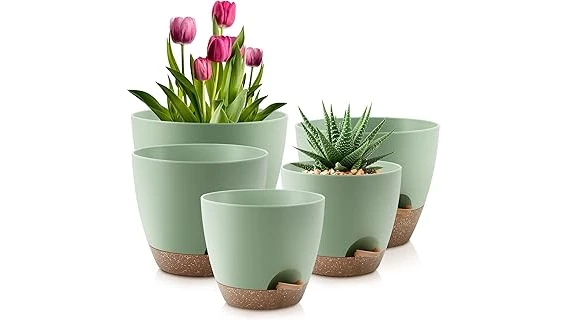 The image shows a vibrant collection of outdoor potted plants, perfect for your top-rated list.