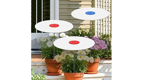 Top Rated 10 Plants for Part Shade