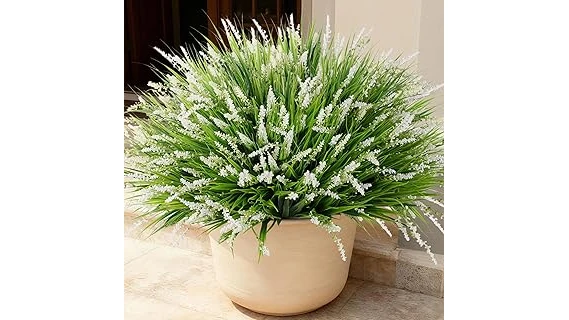 The image shows a lush, green plant arrangement on a screened-in porch, perfect for the top ten plants list.