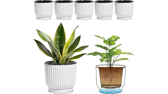 Top Rated 10 Plants for Self Watering Pots