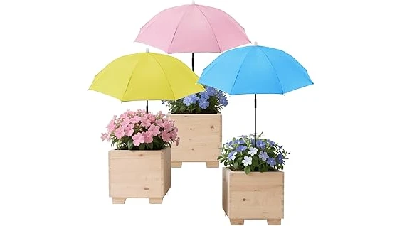 This image shows a lush, shaded patio adorned with beautiful, top-rated plants perfect for low-light areas.