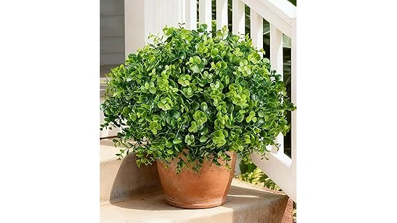 Top Rated 10 Plants for Shaded Porch