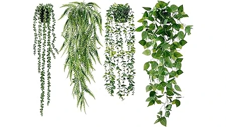 The image shows a bright classroom filled with diverse, well-maintained plants, highlighting top-rated classroom greenery.