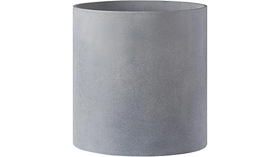 Top Rated 10 Pot for Avocado Tree