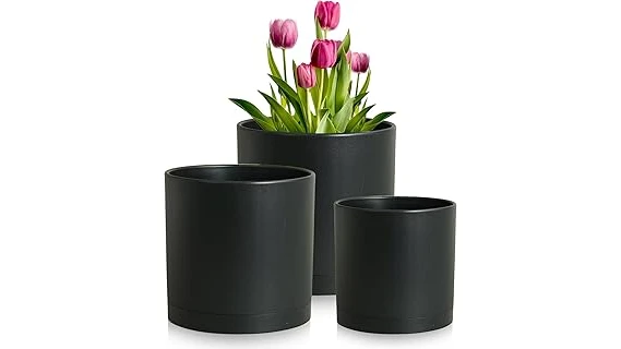 The image shows a selection of stylish pots perfect for showcasing your favorite indoor plants.