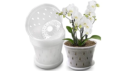Top Rated 10 Pot for Orchid Plant