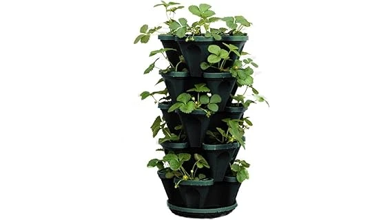 Top Rated 10 Pot for Strawberry Plants