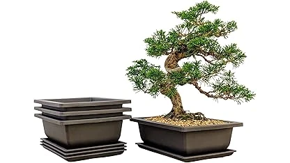The image shows a curated selection of attractive, durable pots perfect for showcasing bonsai trees.