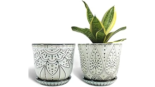 The image shows an assortment of stylish ceramic pots perfect for showcasing your favorite houseplants.
