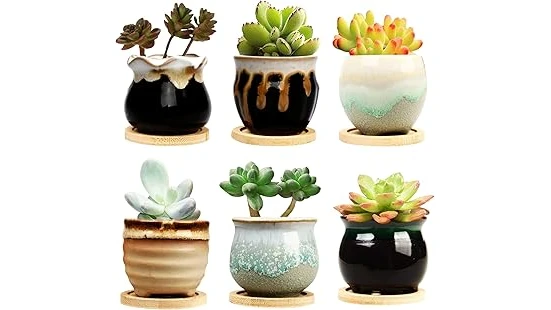 This image shows a stylish collection of various planters perfect for your Top Rated 10 Pots for Succulents Indoors.