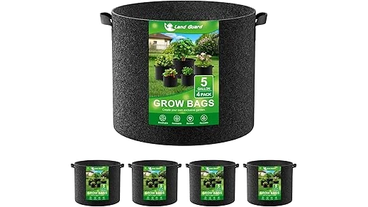 Top Rated 10 Pots for Weed Plants