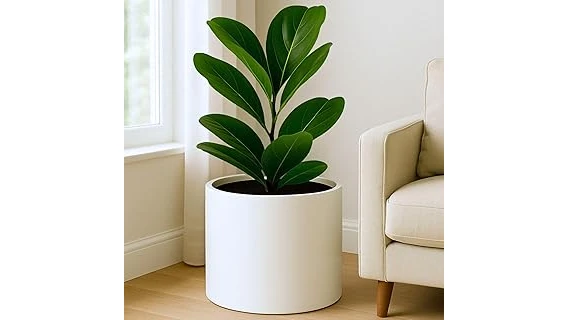 This image shows a stylish planter, perfect for showcasing a yucca plant.