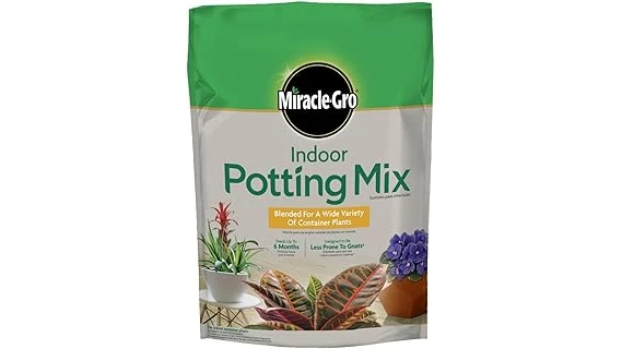 Top Rated 10 Potting Mix for Lavender