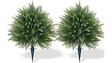 This image shows a selection of attractive small bushes perfect for landscaping.