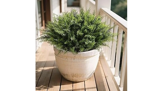 Top Rated 10 Smelling Plants for Outdoors