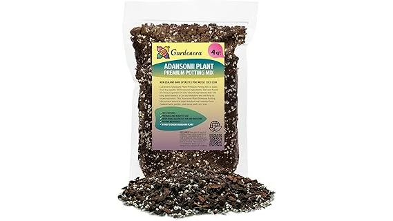 This image shows several vibrant Monstera Adansonii plants in stylish pots, highlighting top-rated soil mixes.