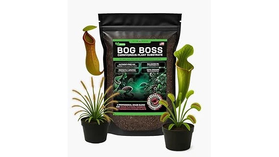 The image shows a vibrant Venus fly trap thriving in a recommended soil mix for carnivorous plants.