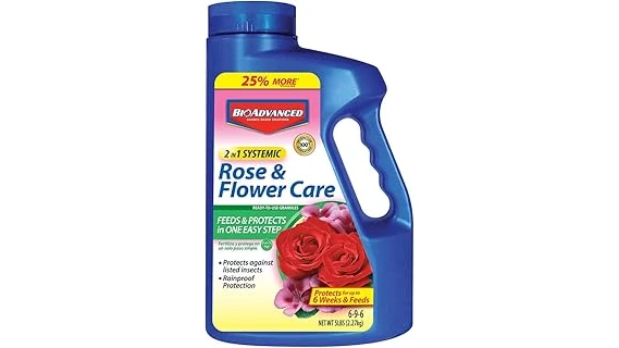 This image shows a healthy azalea plant with bright pink flowers, treated with top-rated systemic insecticide.