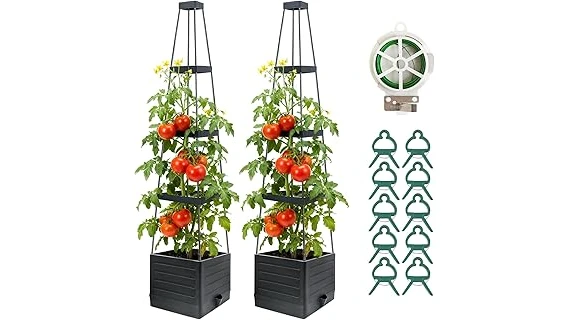 Top Rated 10 Tomato Plant for Container