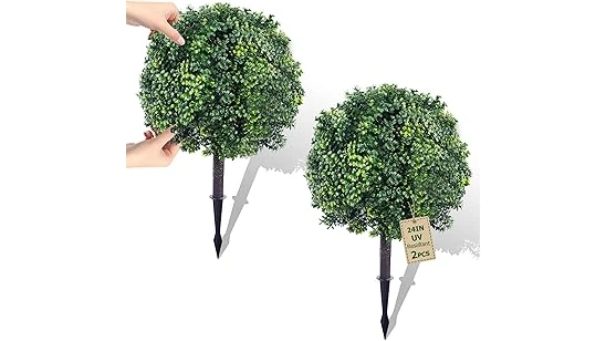 The image shows a variety of beautifully shaped topiary plants perfect for container gardening.