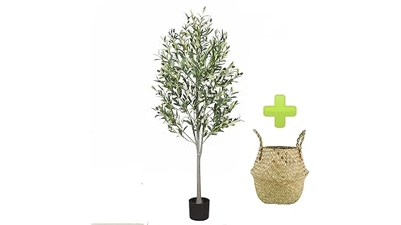 Top Rated 10 Trees for Small Spaces