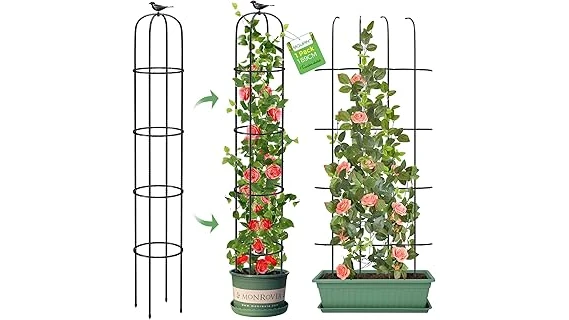 Top Rated 10 Trellis for Morning Glories