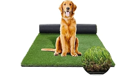 This image shows a lush, green artificial turf installation, perfect for a dog run.