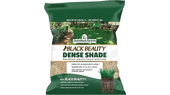 Top Rated 4 Perennials for Front of House