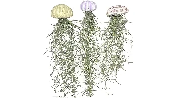 The image shows lush, healthy plants thriving in a damp, shaded garden setting, perfect for wet shady areas.