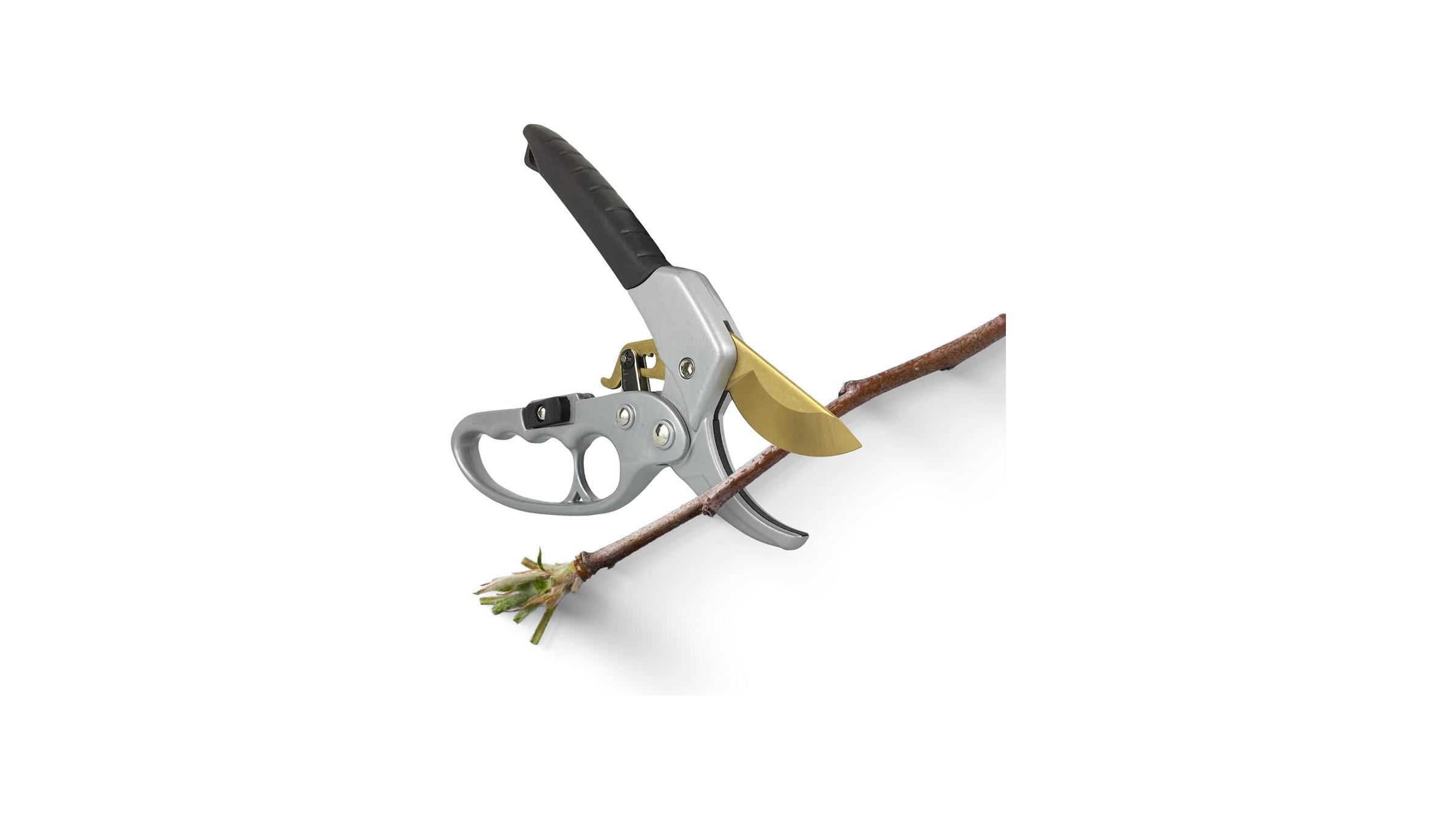 Ratcheting Pruning Shears: Honest Review