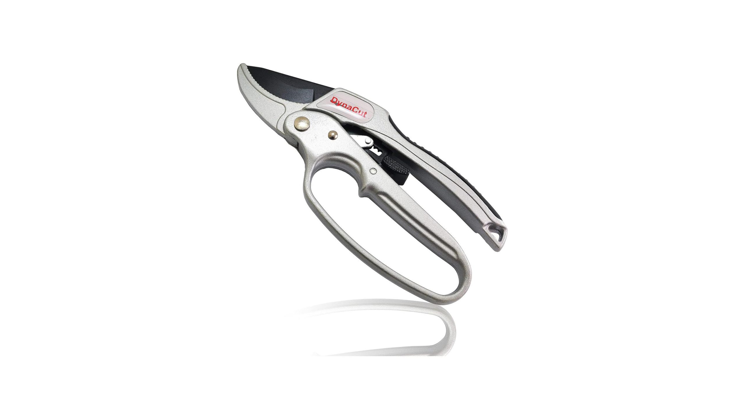 Ratcheting Pruning Shears – In-Depth Review