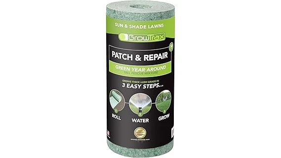 Best 10 Full Sun Grass Seed