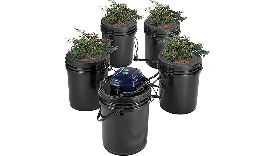 Best Selling 10 Deep Water Culture System
