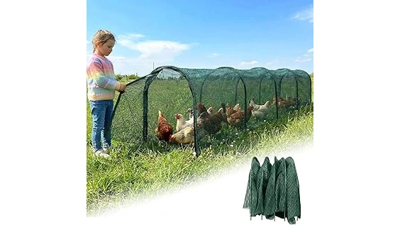 Most Popular 10 Chicken Coop With Run