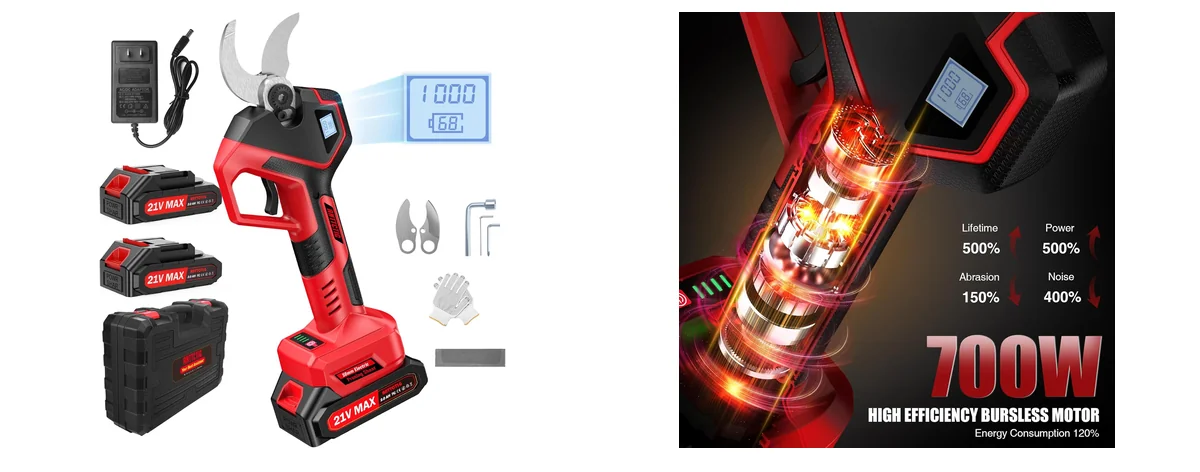 Anttctig Modern images