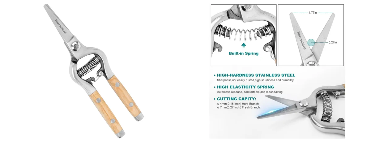 Berry&Bird 8'' Straight Blade Scissors images