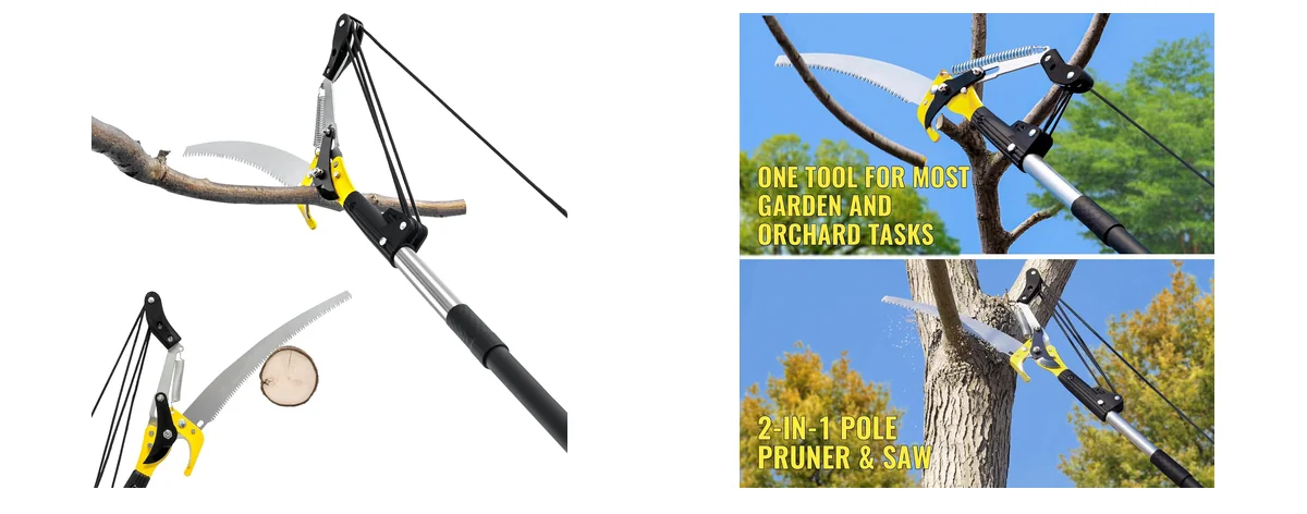 BlumeTrec 5FT images